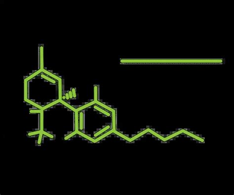 The Effects of THC (Tetrahydrocannabinol) on the Body | Healthtian