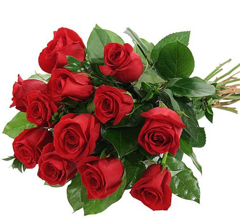 Red Rose Bouquet #FRA12AA • Canada Flowers