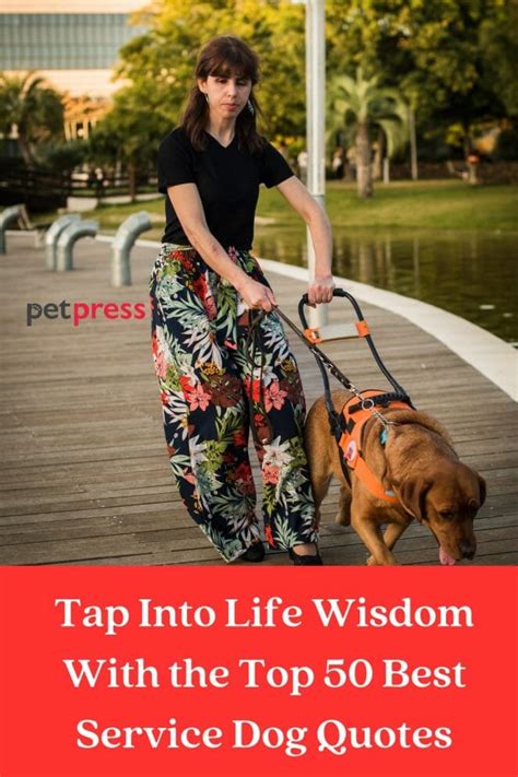 Tap Into Life Wisdom With The Top 50 Best Service Dog Quotes