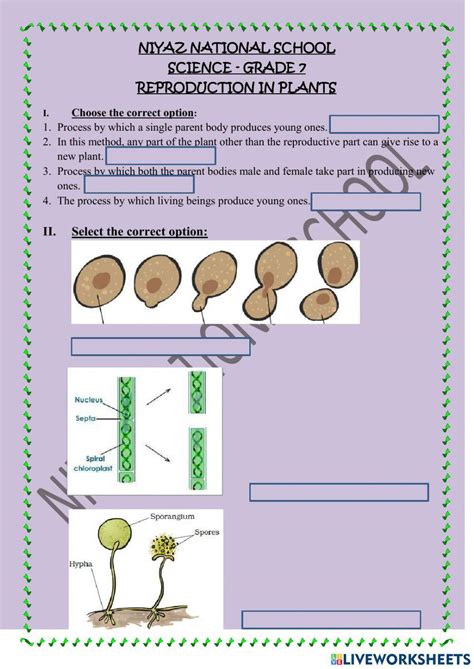 Reproduction In Plants Class 7