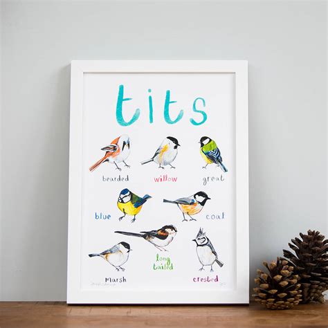 Tits Illustrated Bird Art Print By Sarah Edmonds Illustration Notonthehighstreet