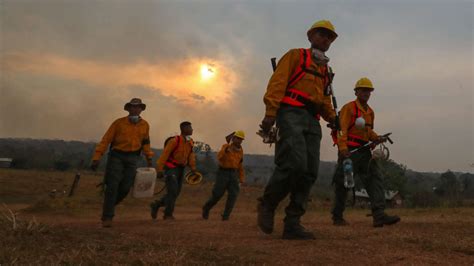 Bolivia Incendios Forestales No Dan Tregua Y Daños A La Fauna Y Flora