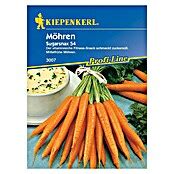 Kiepenkerl Profi Line Gem Sesamen M Hre Sugarsnax Daucus Carota Ssp