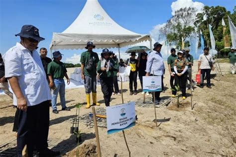 Lestarikan Ekosistem Mangrove Sinar Mas Land Hadirkan Program Horizon