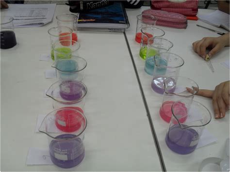 Conclusão Do Experimento Do Repolho Roxo - Experimento Do Repolho Roxo Explicação - FDPLEARN