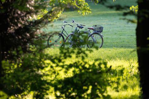 Fahrr Der Im Wald Kostenloses Foto Auf Ccnull De Ccby De