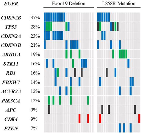 Figure 1 From Impact Of Concurrent Genomic Alterations Detected By Impact Of Concurrent Genomic