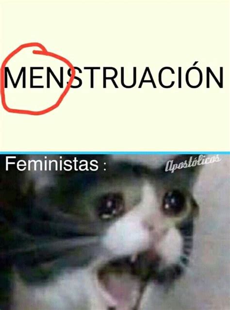 Pin De Karla Correa En Guardado R Pido Memes Feministas Memes