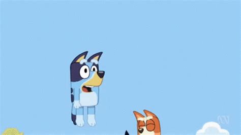 Bluey Cartwheel Bluey Cartwheel Descubre Y Comparte My XXX Hot Girl