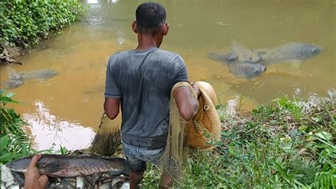 NGAK DI SANGKA TERNYATA DI SPOT INI BANYAK IKAN NILA SUPER BESAR