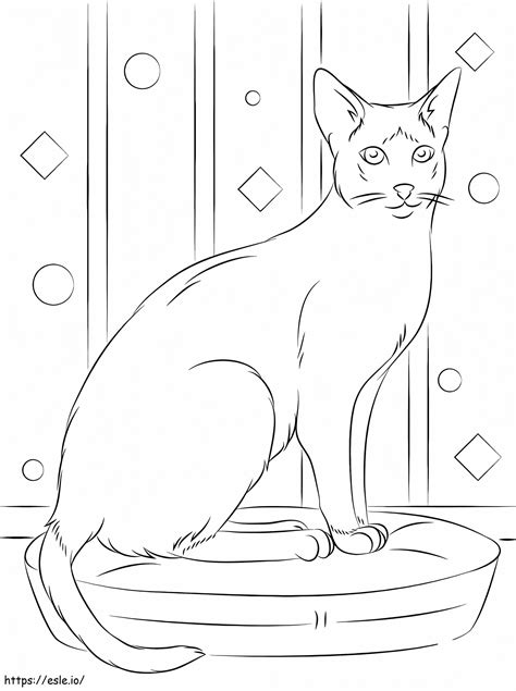 Siamese Cat coloring page