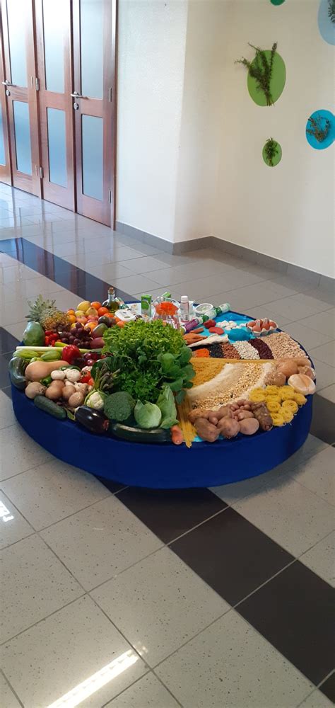 Roda Dos Alimentos Horácio Bento De Gouveia