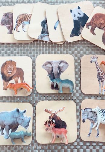 Montessori Zoo Animal Matching Cards Kid Activities With Alexa