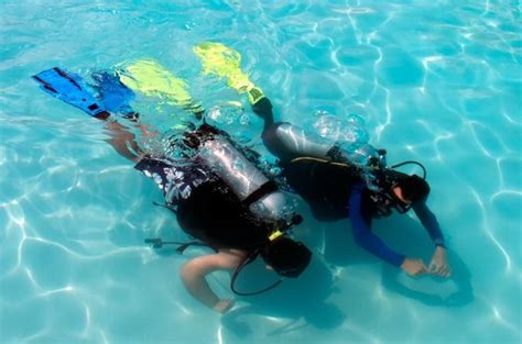 Padi Discover Scuba Diving Program In Punta Cana Triphobo