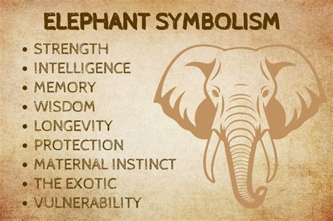 Elephant Spirit Animal: What Does an Elephant Symbolize?