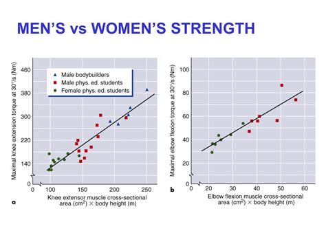 Ppt Physiological Differences By Sex With Exercise Powerpoint