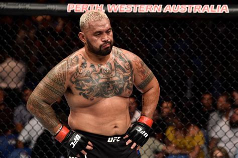 Mark Hunt Id Like To Fight Three More Times Outside The Ufc Then