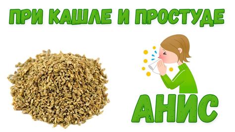 Анис при кашле и простуде, как приготовить, от каких болезней, где ...