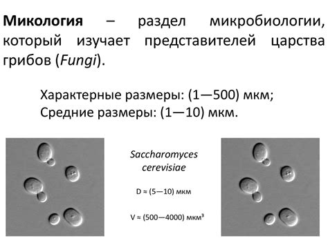 Общая микробиология. Лекция 1 - презентация онлайн