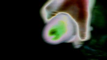 Sacando Lechita Xvideos