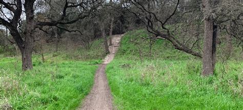 New walking trails will soon extend the reach of brushy creek 11