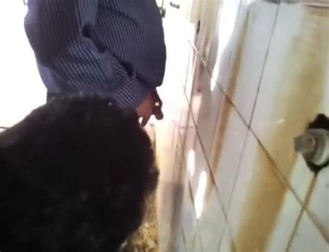 Banheiro Porn Videos Free Gay XXX Rated Sex Videos XHamster