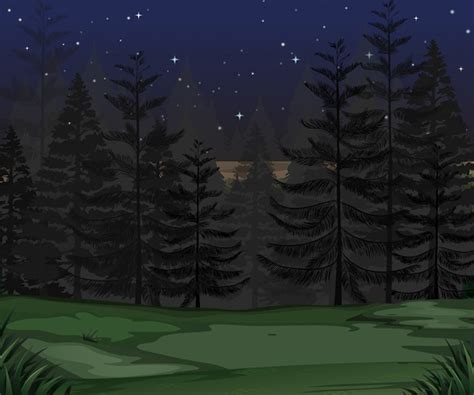 Un Bosque Misterioso Noche Oscura Vector Premium