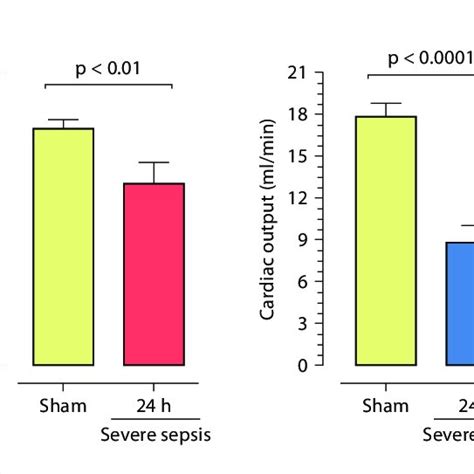 Cardiac Function In Mice Made Septic By Clp And Sham Operated Controls