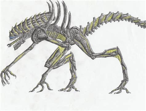 Reaver Xenomorph Runner V2 By Sylizar On Deviantart