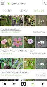 Plantnet Plant Identification Apps On Google Play