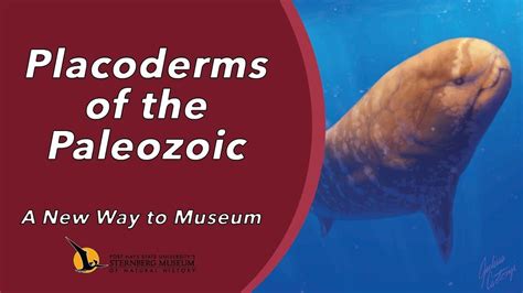 Placoderms of the Paleozoic | A New Way to Museum - YouTube