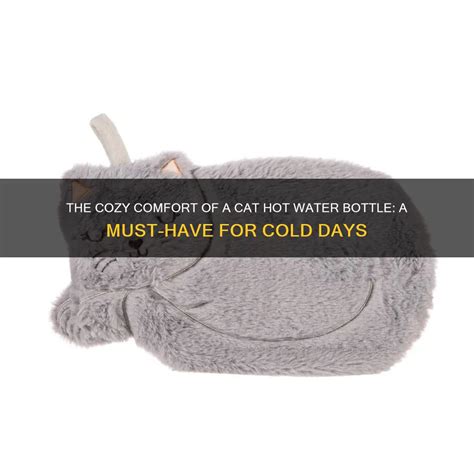 The Cozy Comfort Of A Cat Hot Water Bottle A Must Have For Cold Days PetShun
