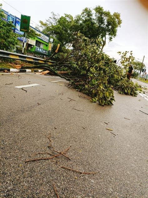 暴风雨袭击新山多区 树倒压车屋顶被掀 南马 地方 東方網 馬來西亞東方日報