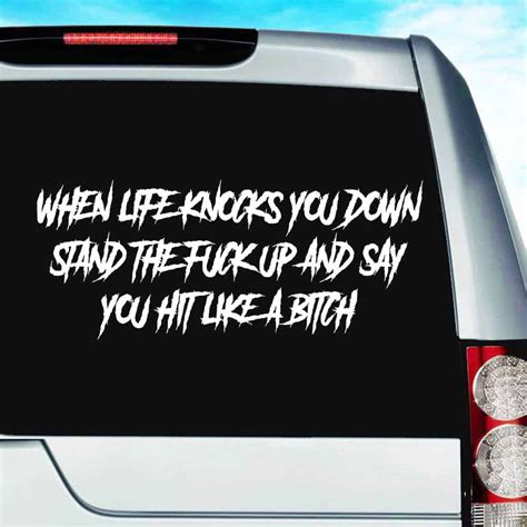 When Life Knocks You Down Stand The Fuck Up And Say You Hit Like A Bitch Decal