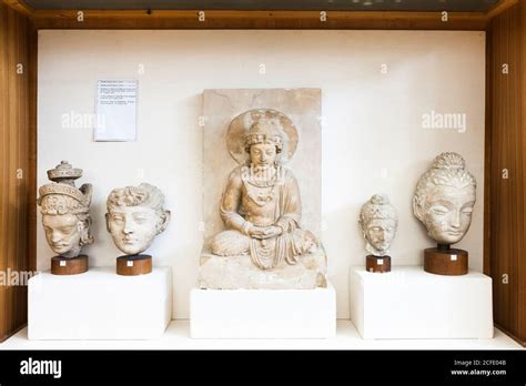 Sitting Bodhisattva And Buddha Heads From Taxila Gallery Of Gandhara