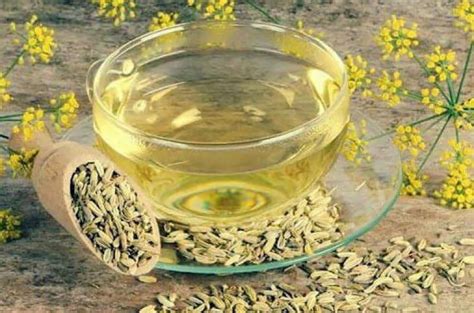 Укропная вода для новорожденного и кормящей мамы: применение и ...