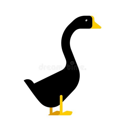 Black Goose Isolated Black Farm Bird Stock Illustration Illustration