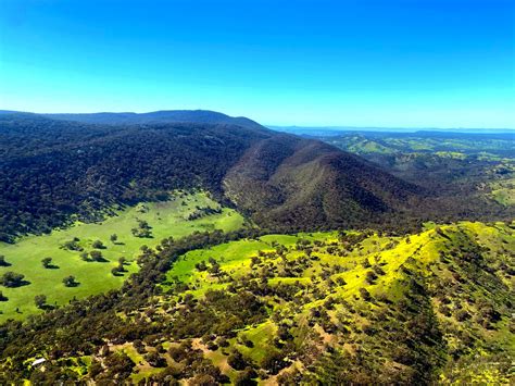 Tallarook State Forest Attraction Daylesford And The Macedon Ranges