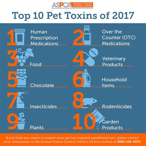 Announcing the Top Pet Toxins of 2017! | ASPCA