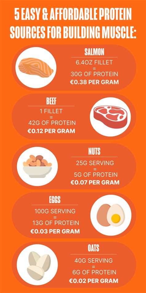 high protein foods  muscle building