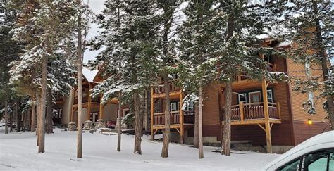 25 Pet-Friendly Hotels and Cabins in Banff