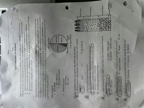 SOLUTION Soil Formation Worksheet Answers Studypool Worksheets Library