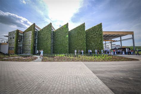 Zelená fasáda so sebou prináša rovnaké výhody ako strecha je však viac ...