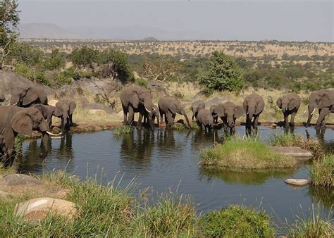 visit serengeti national park tanzania