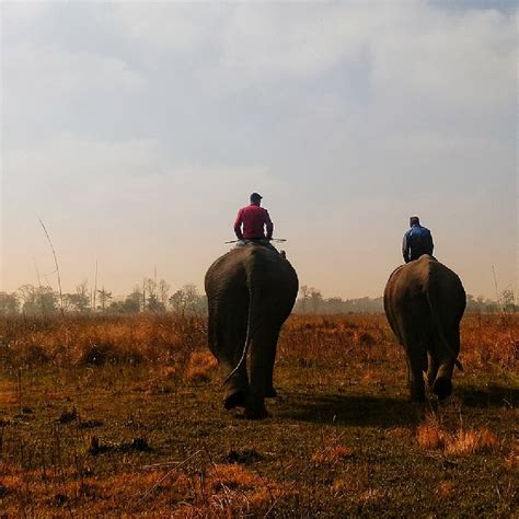 Shuklaphanta National Park – Nagarjun Jeep Safari