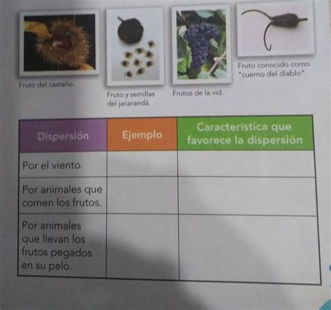 Segundo A O Ep Actividad N De Ciencias Naturales