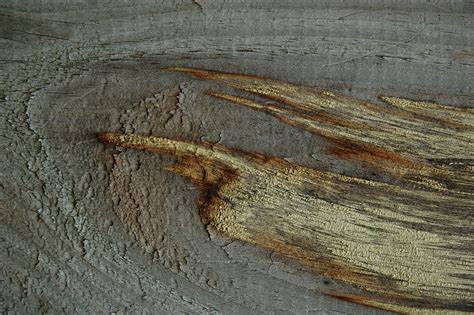 Free » DSC_5877 Textures from TextureKing