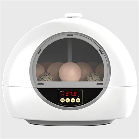 Amazon Roxford Egg Incubators For Hatching Chicken And Quail Eggs