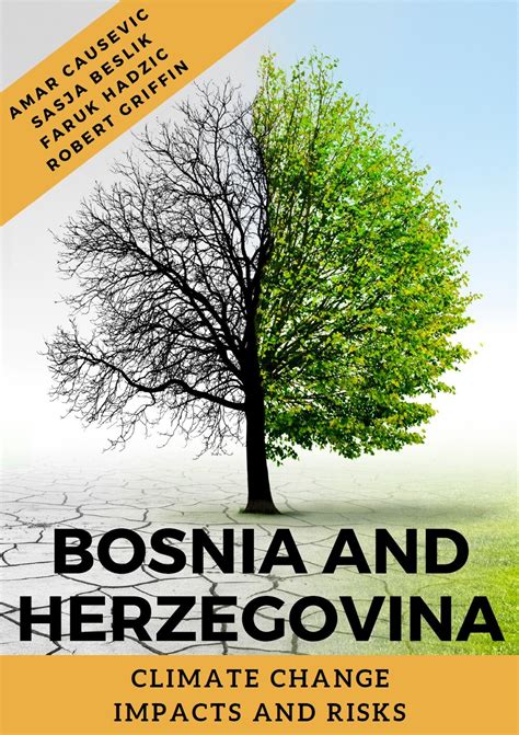 Bosnia & Herzegovina Futures Foundation