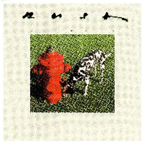 Signals Cd 1997 Re Release Remastered Von Rush